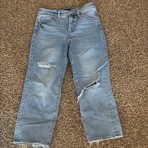 Express straight ankle jeans